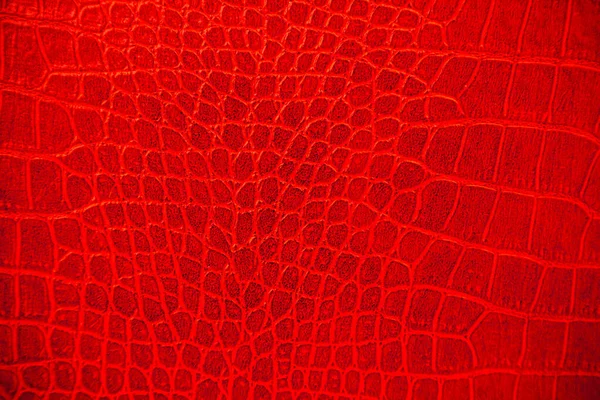 Red Skin Leather Texture Use Background — Stock Fotó