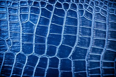 Arkaplan için bulanık deri dokusu kullanımı