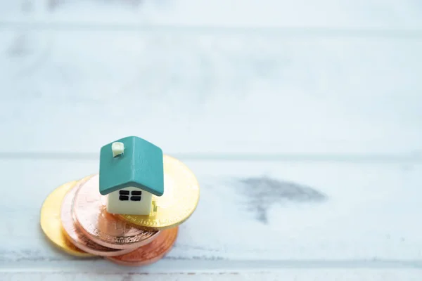 Casa Coloca Una Moneda Oro Con Fondo Madera Blanca — Foto de Stock