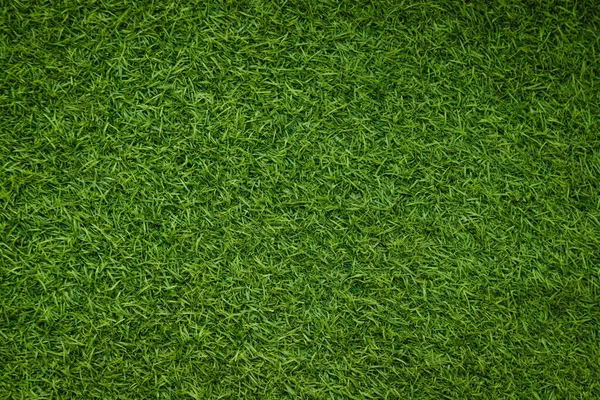 Grön Konstgräs Naturligt — Stockfoto