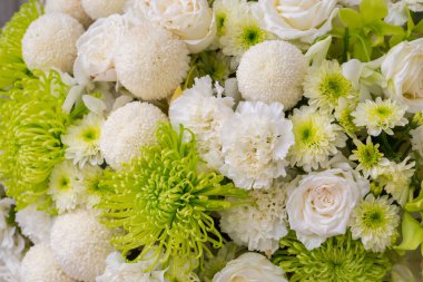 güller ve beyaz kasımpatı taze çiçek arkaplanı