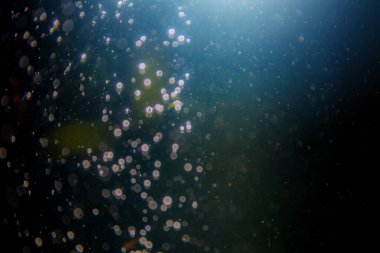 Siyah arka planlı soyut siyah defocus bokeh simli vintage ışıklar