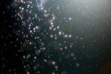 Siyah arka planlı soyut siyah defocus bokeh simli vintage ışıklar