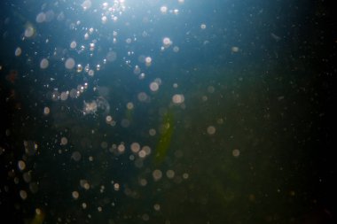 Siyah arka planlı soyut siyah defocus bokeh simli vintage ışıklar