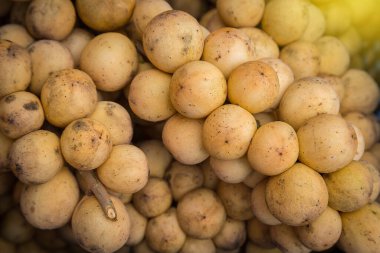 Longkong Thai fruit on sale in the market.