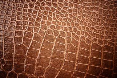 Crocodile leather pattern used for background