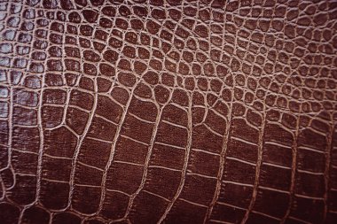 Arka plan için timsah derisi deseni kullanılır