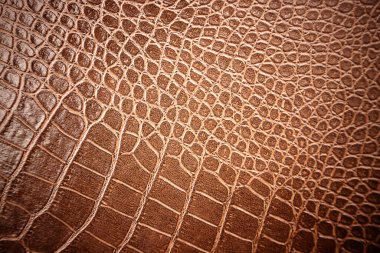 Arka plan için timsah derisi deseni kullanılır