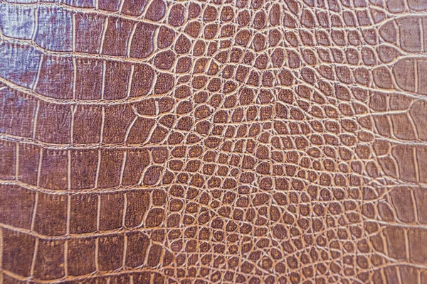 Arkaplan için kahverengi deri dokusu