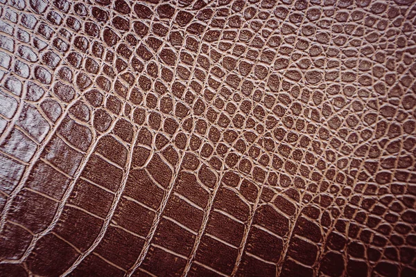 Crocodile Leather Pattern Used Background — стоковое фото