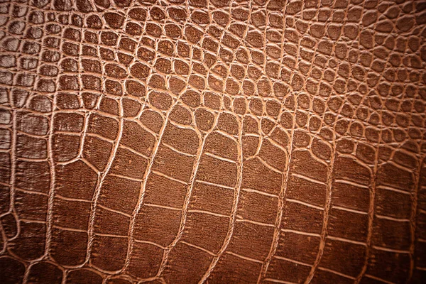 Arka plan için timsah derisi deseni kullanılır