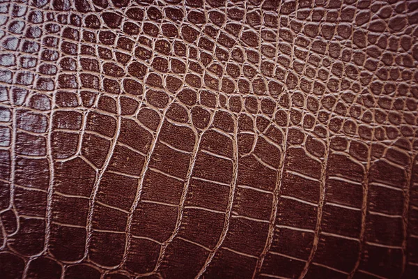 Arka plan için timsah derisi deseni kullanılır