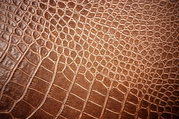 Arka plan için timsah derisi deseni kullanılır