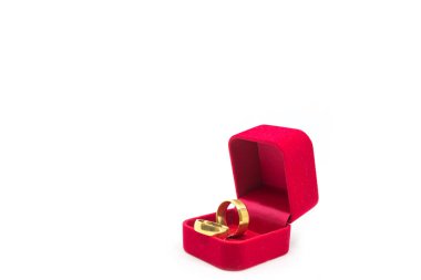 Beyaz arka planda kırmızı kadife kutuda alyans