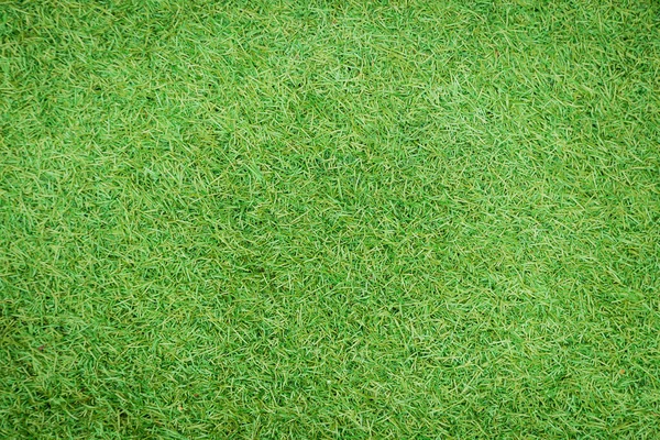 Yeşil yapay ot doğal arkaplan