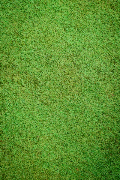 Yeşil yapay ot doğal arkaplan