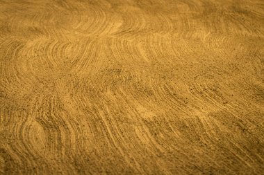 Kalıplı pürüzlü alçı arkaplan ile işlenmiş altın duvar