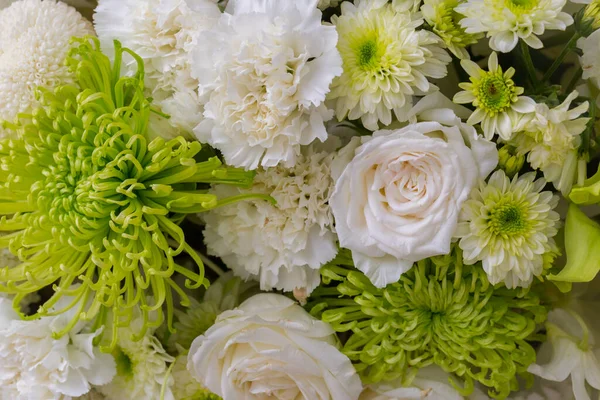 Roses White Chrysanthemum Fresh Flower Background — Fotografia de Stock