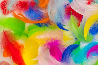 Birçok renkli tüy dokusu arkaplanı