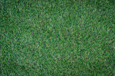 Yeşil yapay çim zemin arka planı
