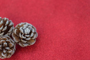 Kırmızı arka planda kurumuş çam topları