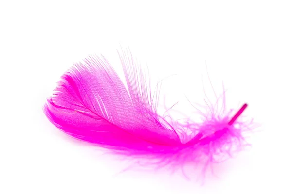 白色背景的粉红羽毛质感 — 图库照片