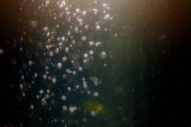 Siyah arka planlı soyut siyah defocus bokeh simli vintage ışıklar