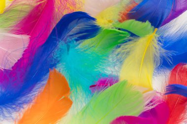Birçok renkli tüy dokusu arkaplanı