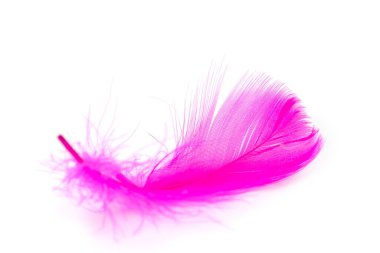 Beyaz arkaplanda pembe tüy dokusu