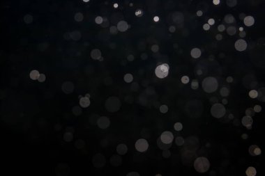 Fantezi bokeh siyah arkaplanda ışıktan parıldıyor