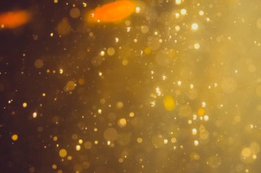 Siyah arkaplanda koyu soyut altın bokeh parıltısı