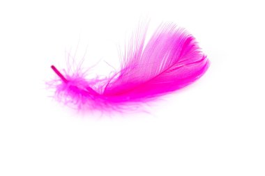 Beyaz arkaplanda pembe tüy dokusu