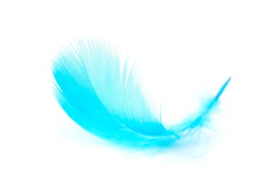 Beyaz arkaplanda mavi tüyler