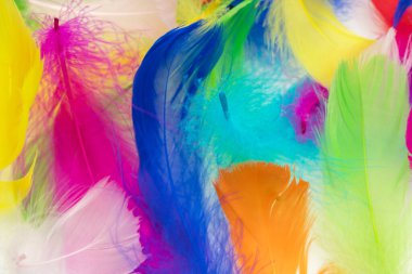 Birçok renkli tüy dokusu arkaplanı