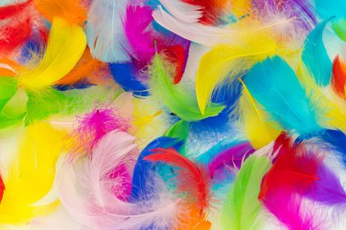 Birçok renkli tüy dokusu arkaplanı