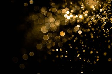 Su sineği altın bohçası ve ışık arka plan