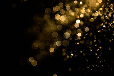 Su sineği altın bohçası ve ışık arka plan