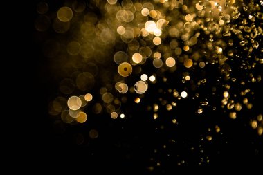 Su sineği altın bohçası ve ışık arka plan