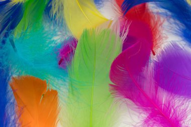 Birçok renkli tüy dokusu arkaplanı