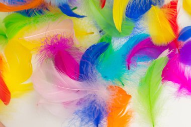 Birçok renkli tüy dokusu arkaplanı