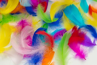 Birçok renkli tüy dokusu arkaplanı