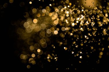 Su sineği altın bohçası ve ışık arka plan