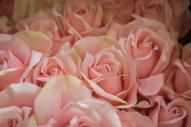 Plastik pembe arkaplan