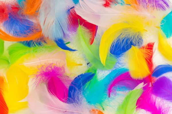 Many Colorful Feather Texture Background — Stock Fotó