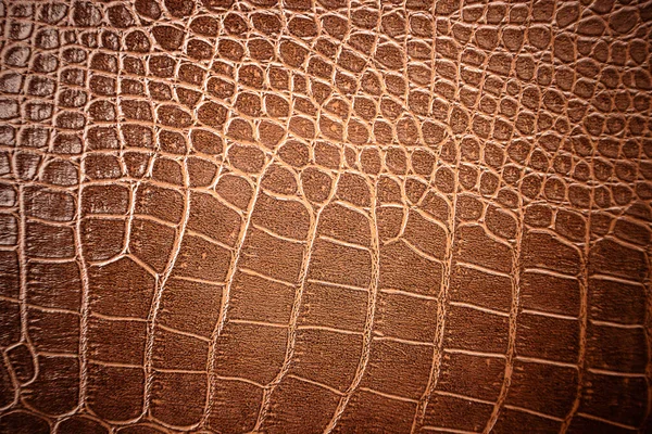 Crocodile Leather Pattern Used Background — ストック写真