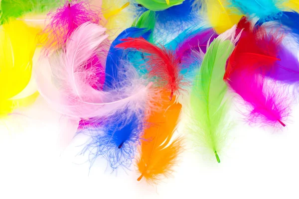 Multicolored Feathers White Background — Stock Photo, Image