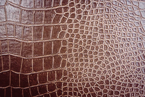 Crocodile Leather Pattern Used Background — ストック写真