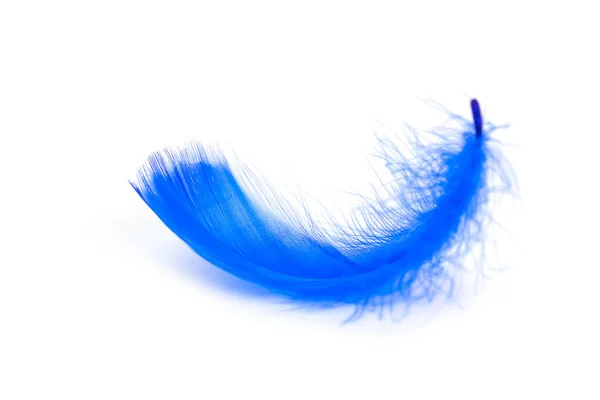 Plumas Azules Sobre Fondo Blanco — Foto de Stock