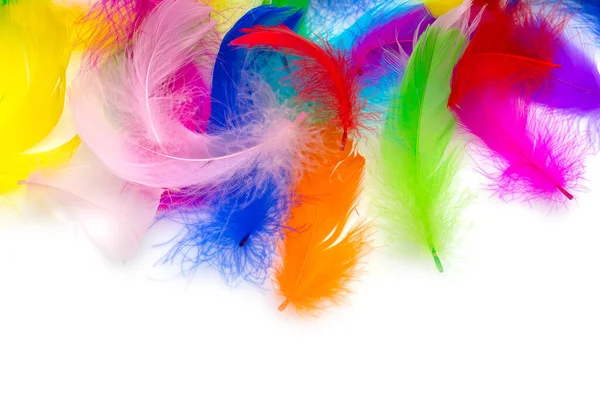 Multicolored Feathers White Background — Stock Photo, Image