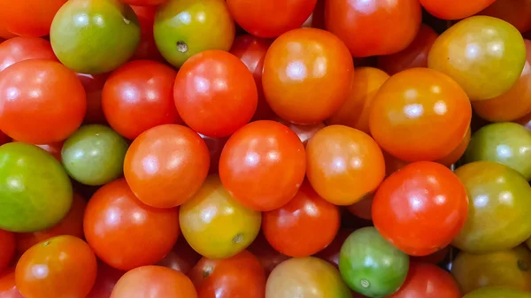 Frische Reife Rote Tomaten Und Einige Tomaten Die Nicht Reif — Stockfoto